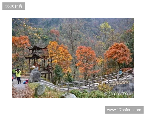 二郎山喇叭河赏秋之旅：立体彩林、野生动物、溪谷红石融为一体